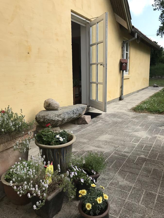 Tranum Lys Og Glas Brovst Buitenkant foto